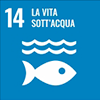 la vita sott'acqua