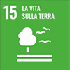 la vita sulla terra