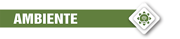 logo Ambiente - Consulenza aziendale